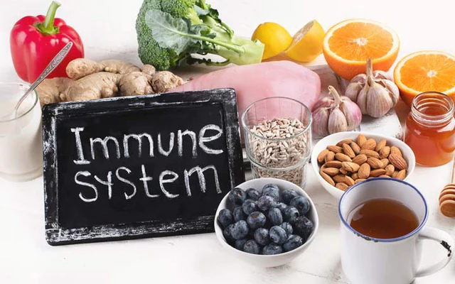 immune system